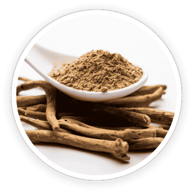 Quietum Plus - Ingredients-5