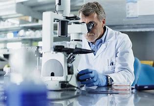 Quietum Plus-scientific-research